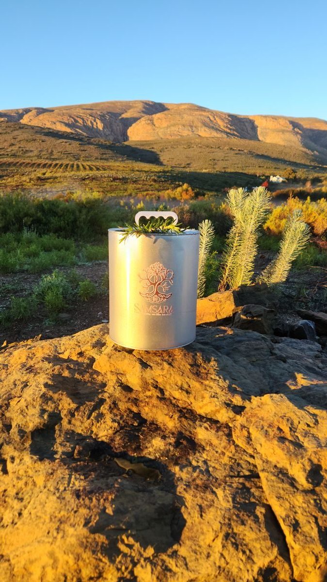 5L Olive Oil