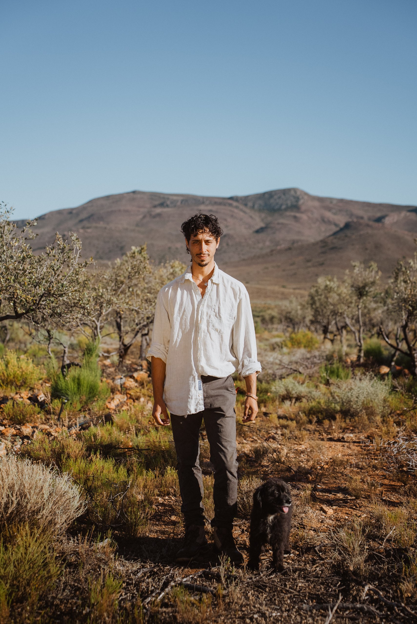 Nicolas among the olive trees